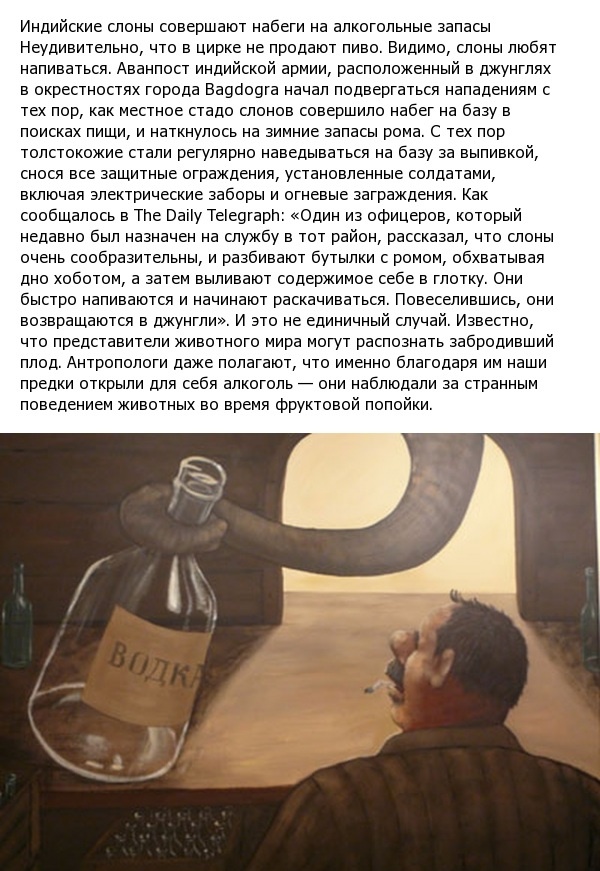 Исторические рекорды по теме "пьянства"