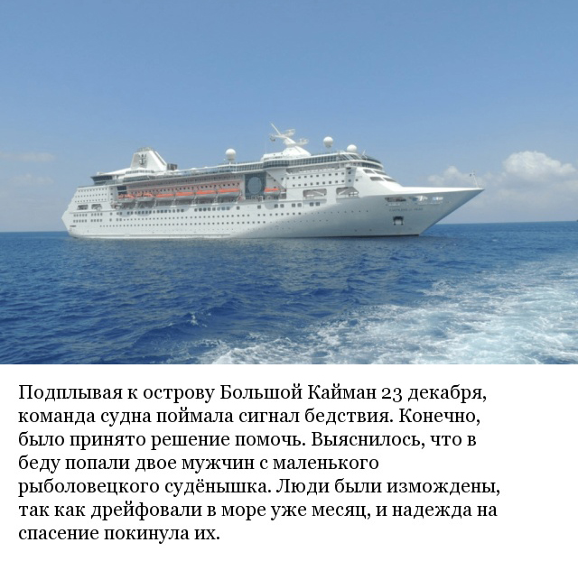 Океанский лайнер поменял курс из-за шторма и совершил настоящее рождественское чудо