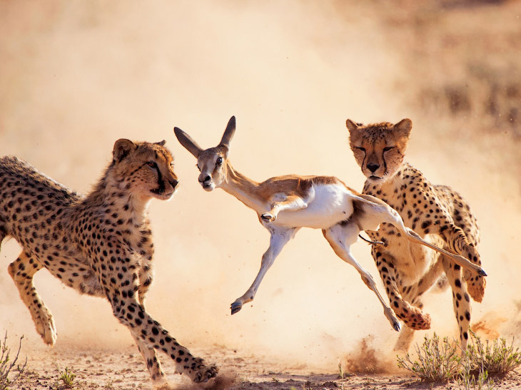 National Geographic: лучшие фотографии января National Geographic: лучшие фотографии января