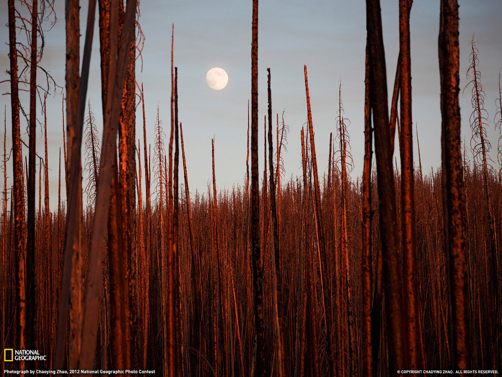 National Geographic: лучшие фотографии января National Geographic: лучшие фотографии января
