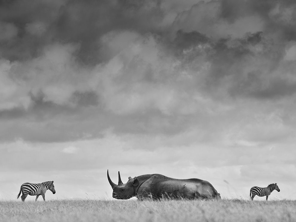 National Geographic: лучшие фотографии января National Geographic: лучшие фотографии января