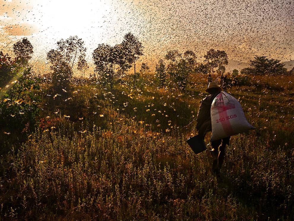 National Geographic: лучшие фотографии января National Geographic: лучшие фотографии января