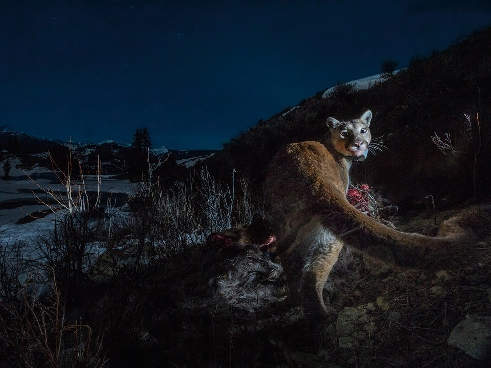 National Geographic: лучшие фотографии января National Geographic: лучшие фотографии января