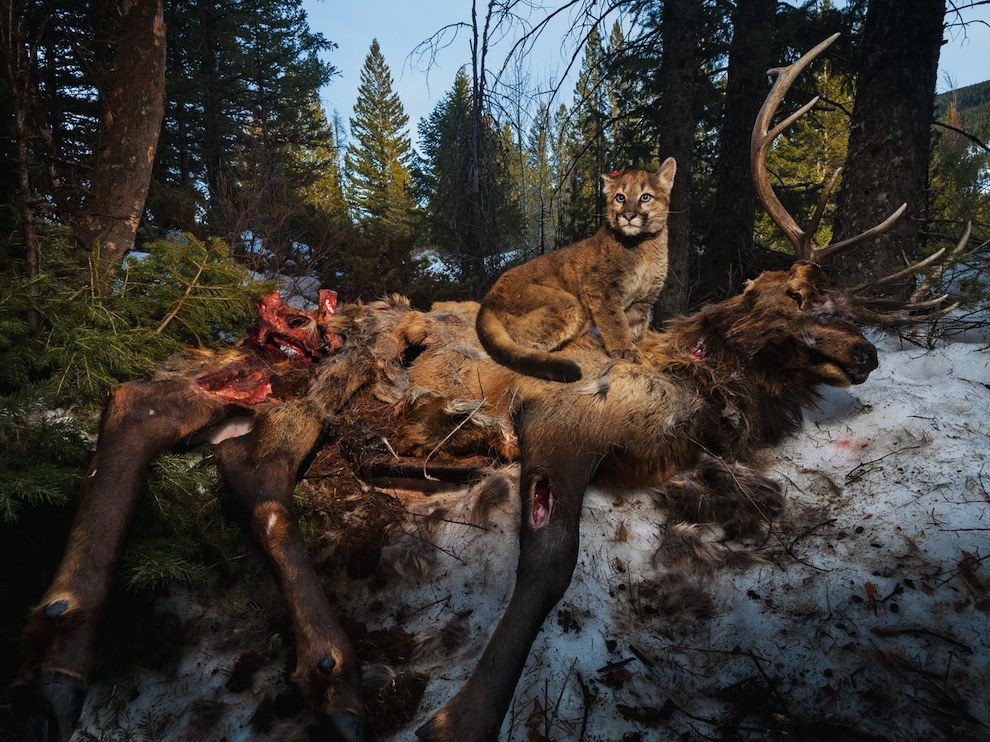 National Geographic: лучшие фотографии января National Geographic: лучшие фотографии января