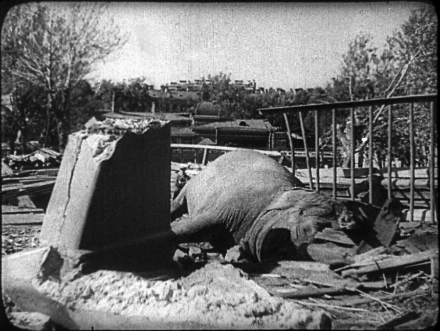 Блокада Ленинграда (48 фото) Блокада Ленинграда (48 фото)