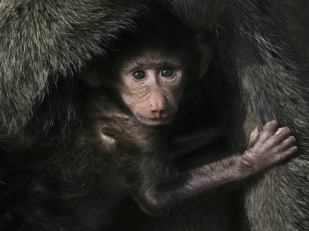 National Geographic: лучшие фотографии февраля National Geographic: лучшие фотографии февраля