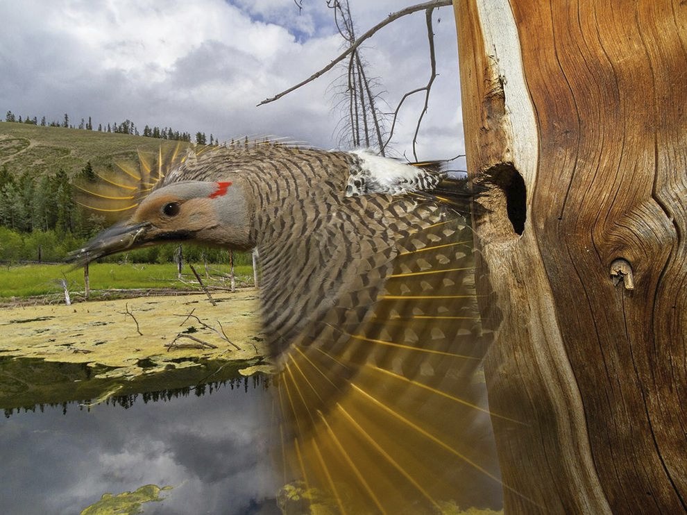 National Geographic: лучшие фотографии февраля National Geographic: лучшие фотографии февраля