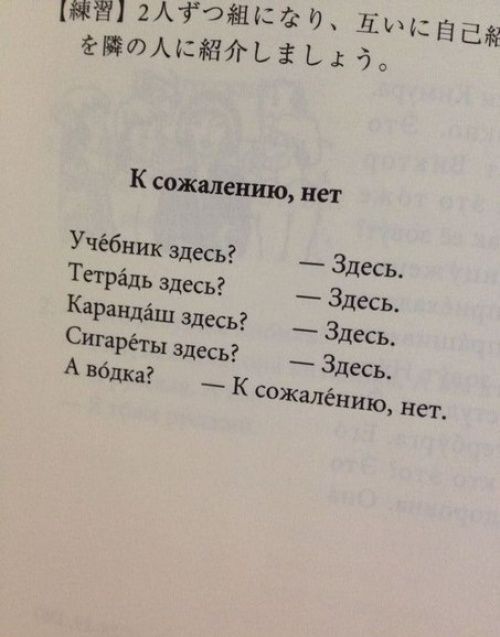 Иностранцы учат русский язык (22 фото)