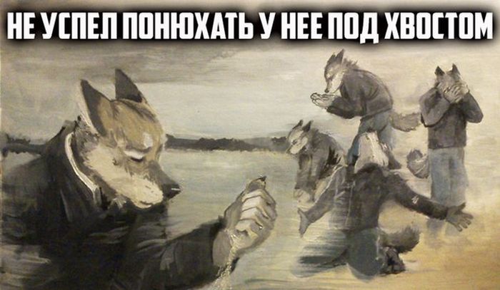 Порция картинок