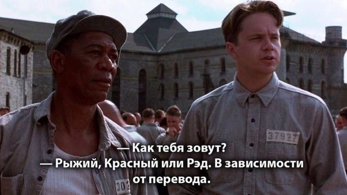 Порция картинок