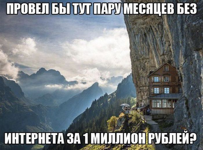 Прикольные картинки