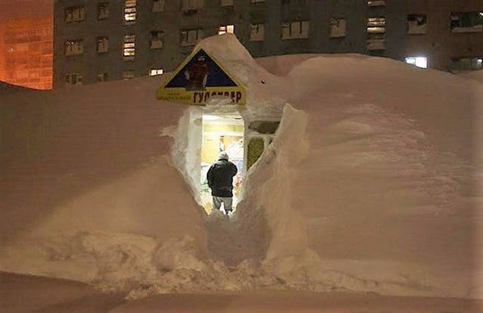 Коллекция эмоциональных снимков