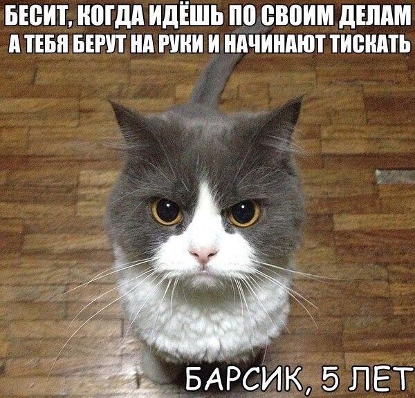 Весело до сумасшествия