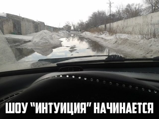Весело до сумасшествия