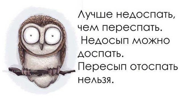 Весело до сумасшествия