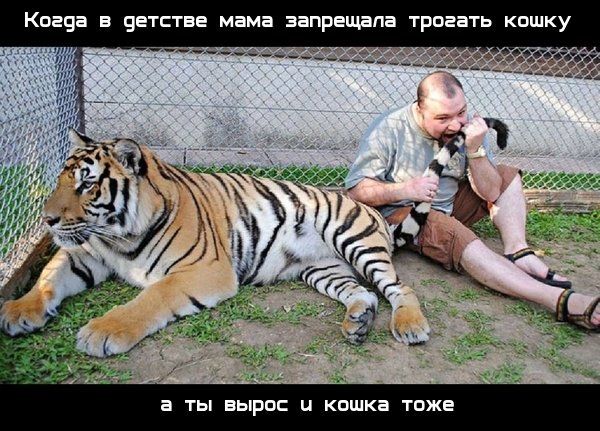 Весело до сумасшествия