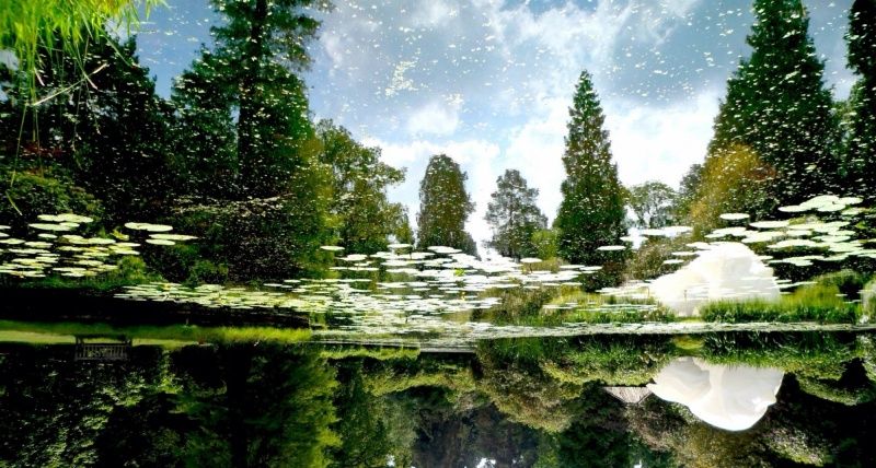 Лучшие фотографии марта 2014 (30 фото) Лучшие фотографии марта 2014 (30 фото)