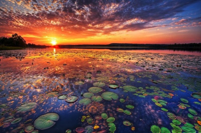 Лучшие фотографии марта 2014 (30 фото) Лучшие фотографии марта 2014 (30 фото)