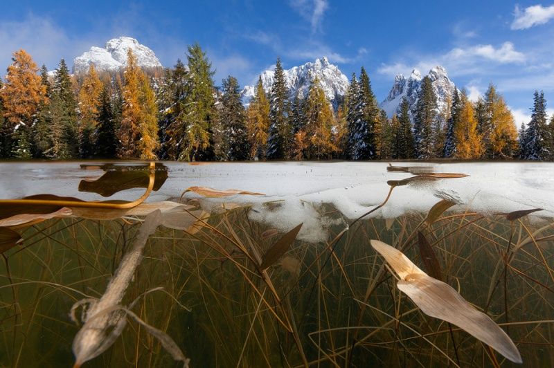 Лучшие фотографии марта 2014 (30 фото) Лучшие фотографии марта 2014 (30 фото)