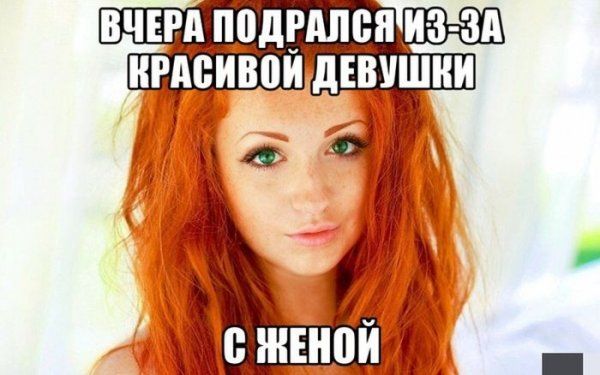 Прикольные картинки (117 фото)