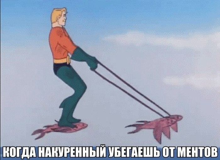 Порция картинок