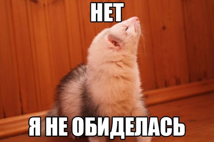 Порция картинок