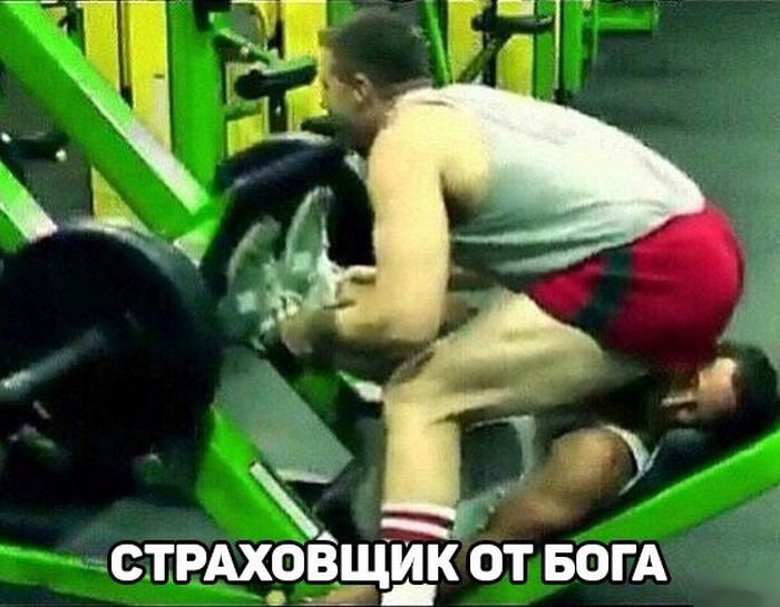 Порция картинок