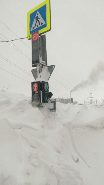 Порция картинок