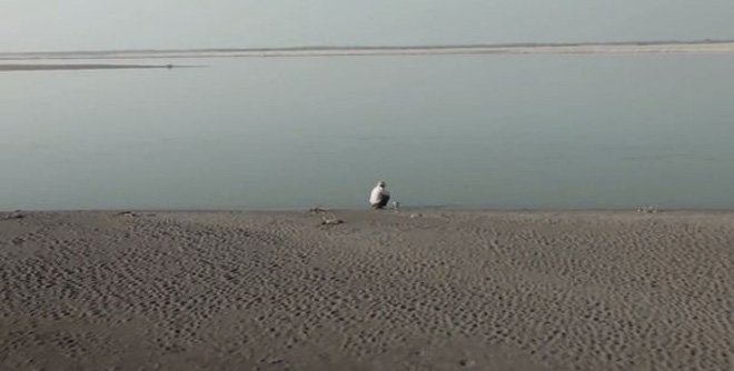 Какие они, герои современности Какие они, герои современности