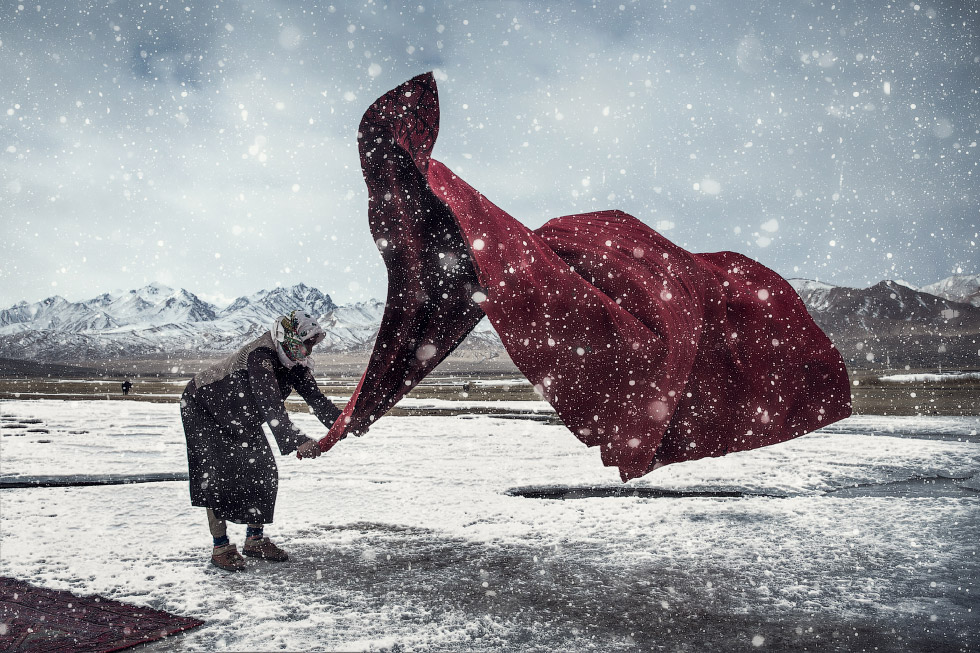 Победители Sony World Photography Awards 2018 Победители Sony World Photography Awards 2018