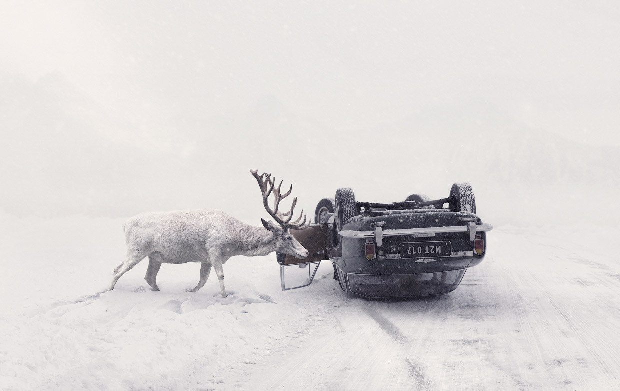 Победители Sony World Photography Awards 2018 Победители Sony World Photography Awards 2018