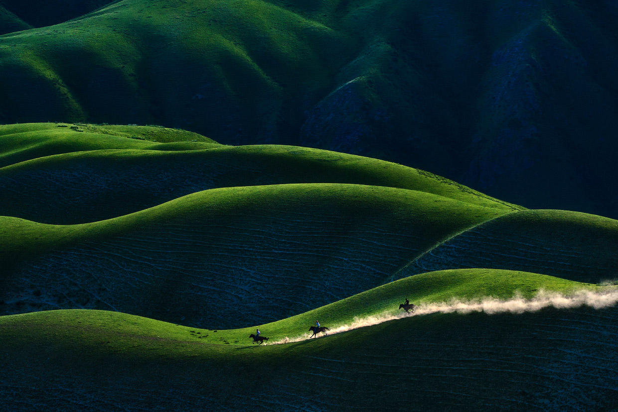 Победители Sony World Photography Awards 2018 Победители Sony World Photography Awards 2018