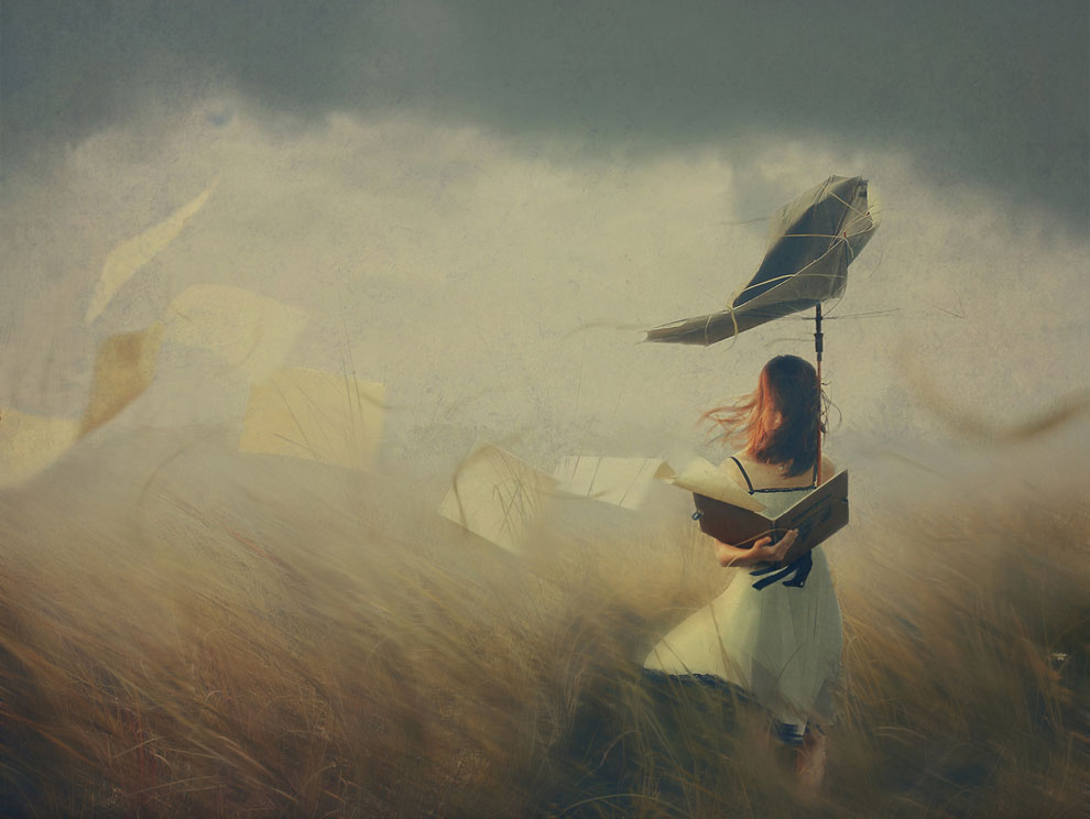 Победители конкурса Sony World Photography Awards 2013 Победители конкурса Sony World Photography Awards 2013