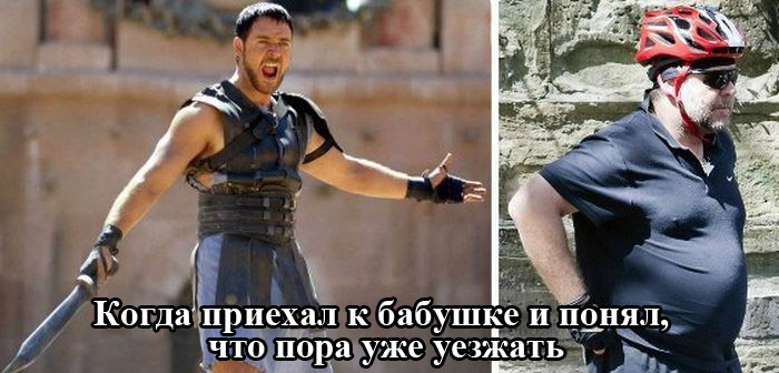 Порция картинок