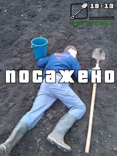 Порция картинок