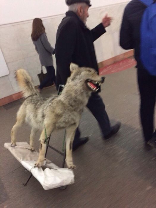 Модные пассажиры нашего метро