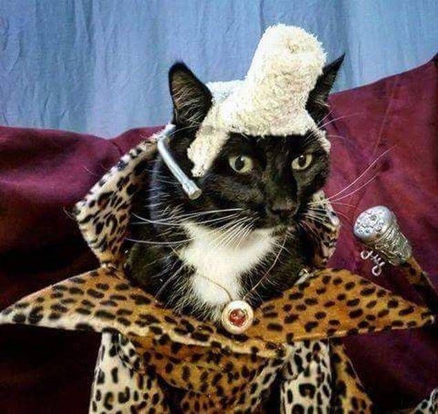 Прикольные картинки