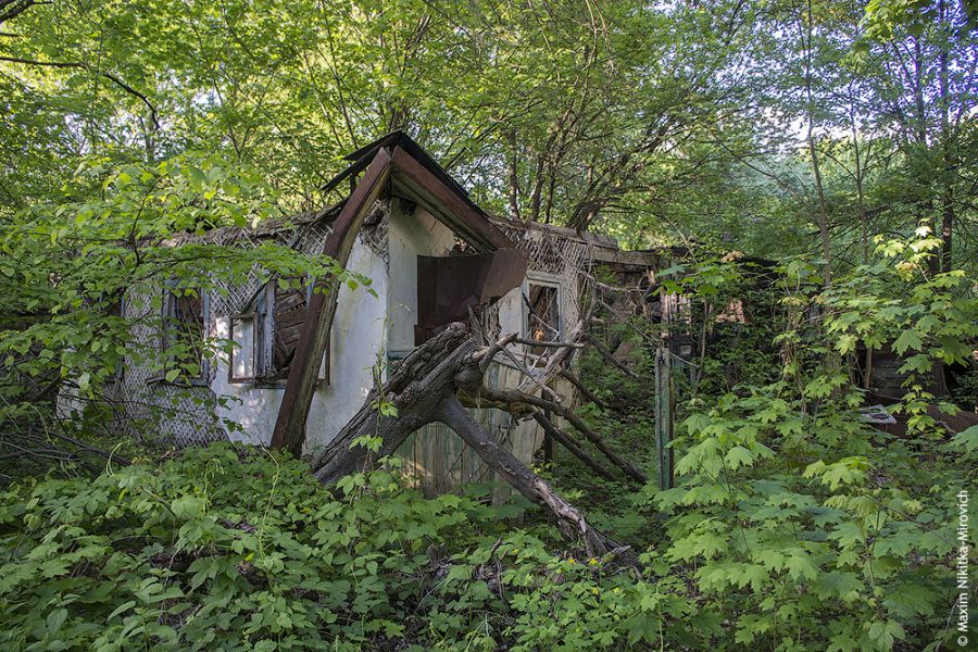 Квартиры Чернобыля (36 фото) Квартиры Чернобыля (36 фото)