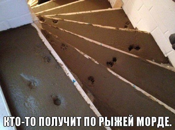 Прикольные картинки (73 фото)