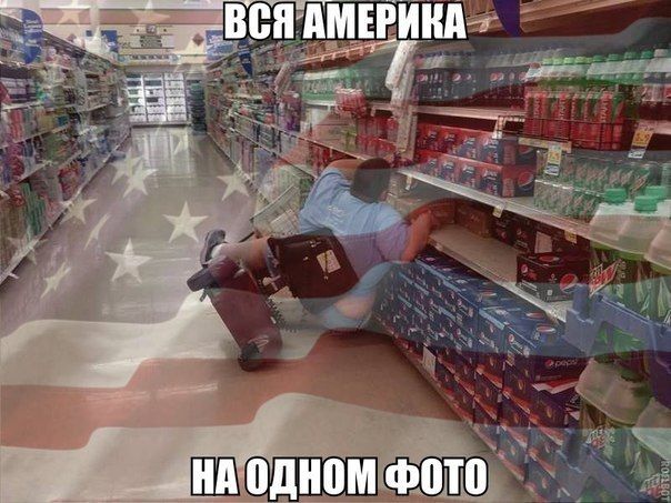 Прикольные картинки (73 фото)