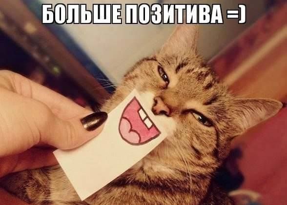 Прикольные картинки (73 фото)