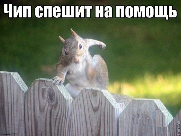 Прикольные картинки (73 фото)