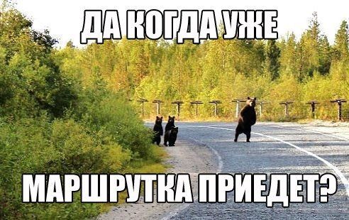 Прикольные картинки (73 фото)
