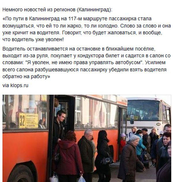 Порция картинок