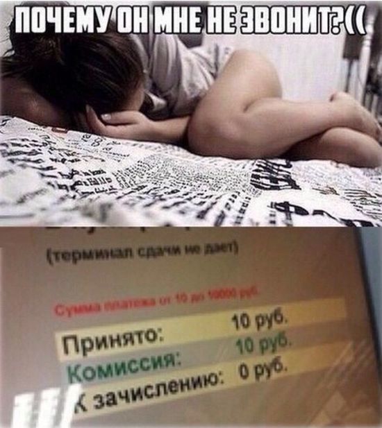 Порция картинок