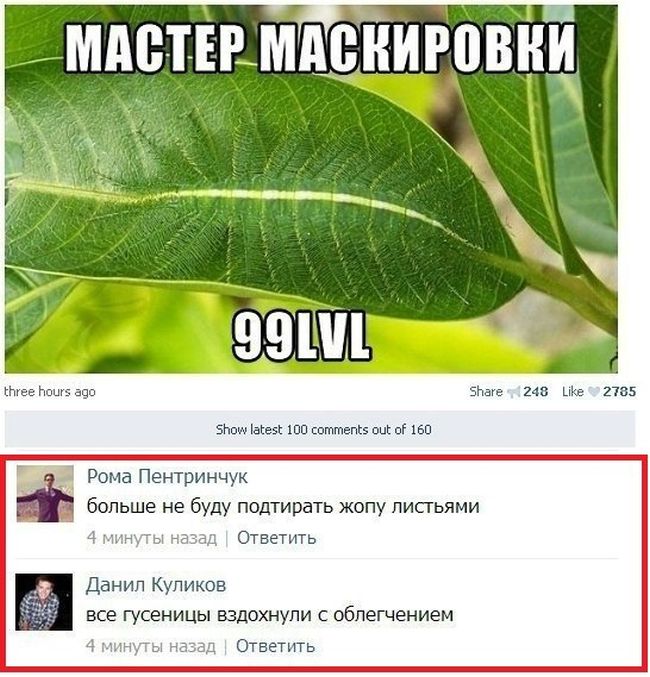Порция картинок