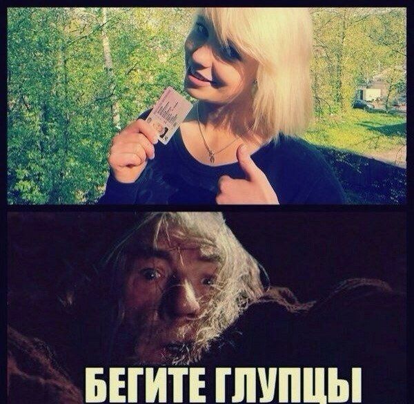 Порция картинок
