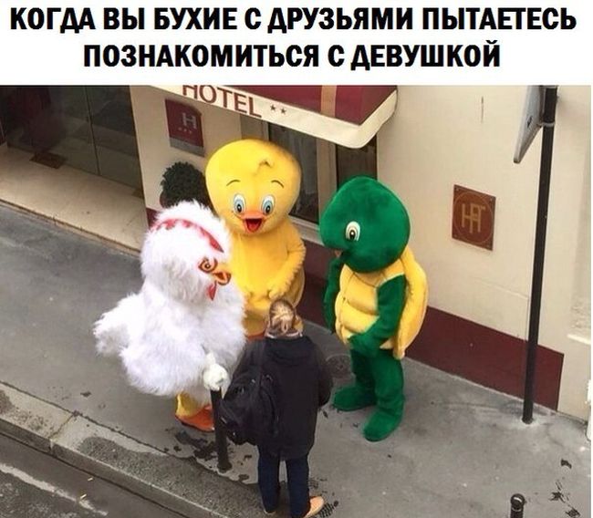 Порция картинок