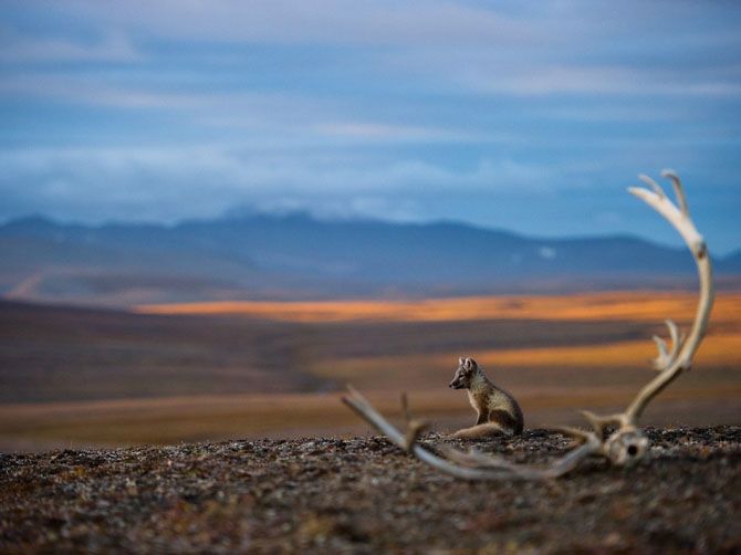 Лучшие фотографии National Geographic за июнь 2013 Лучшие фотографии National Geographic за июнь 2013