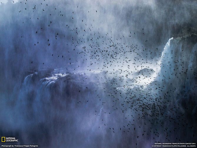 Лучшие фотографии National Geographic за июнь 2013 Лучшие фотографии National Geographic за июнь 2013